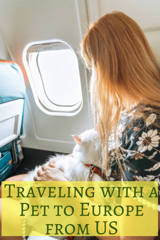 Traveling with a Pet from the US to Europe