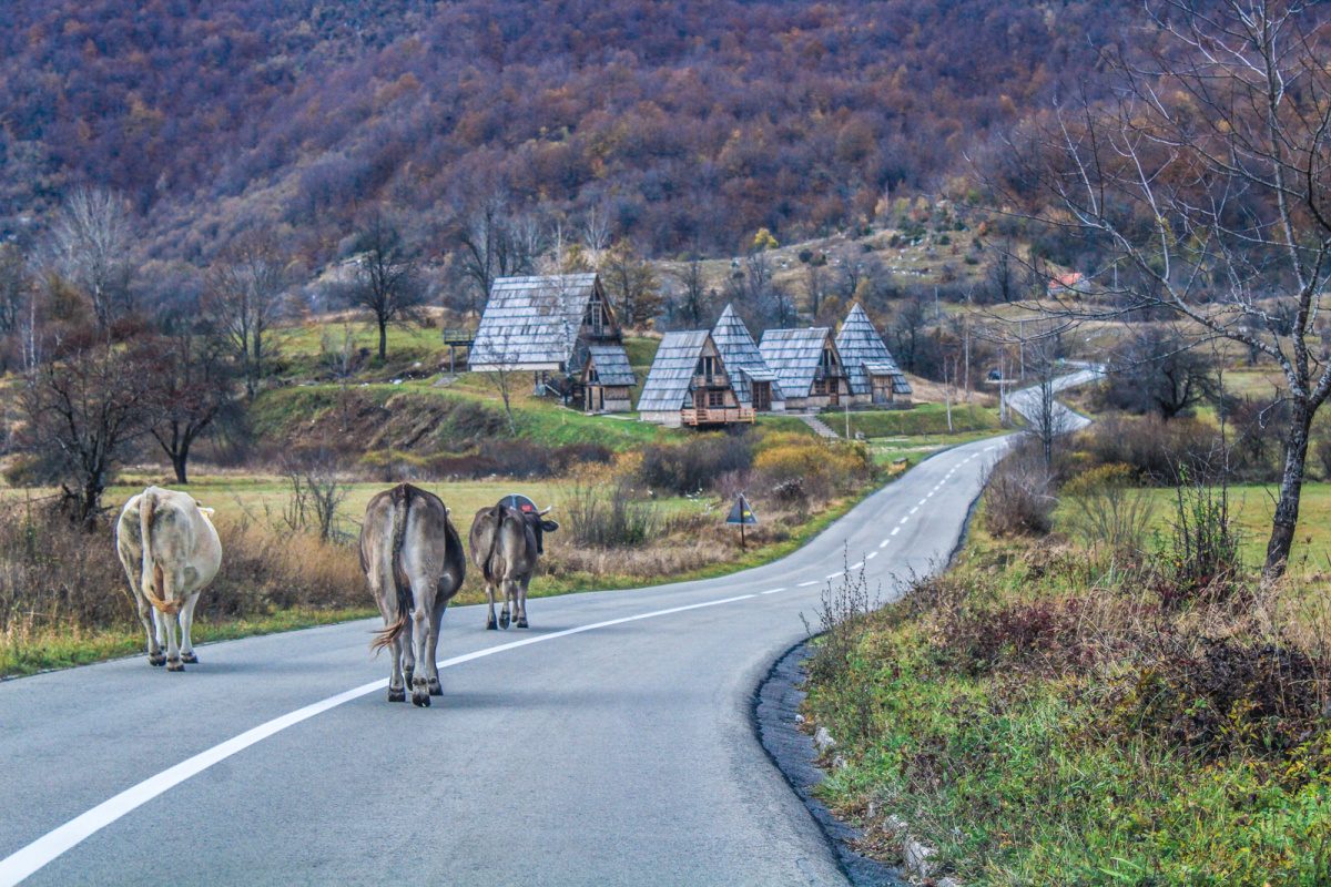 traveling to Montenegro