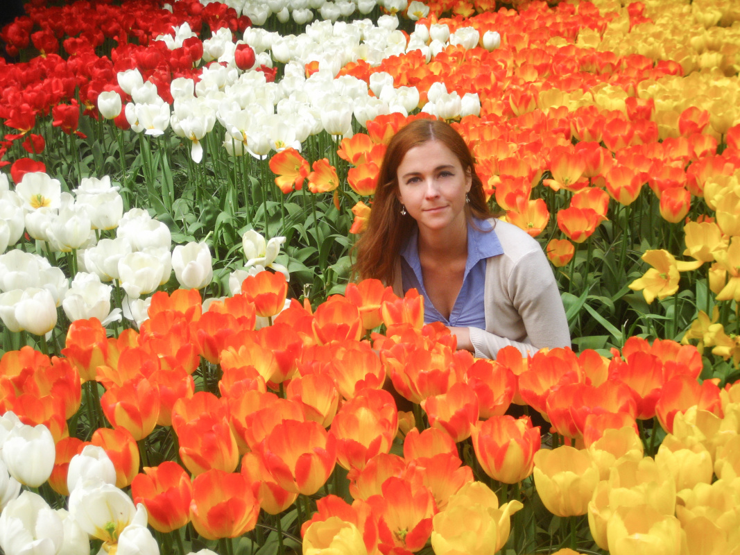 How to See Tulips in the Netherlands Beyond Keukenhof