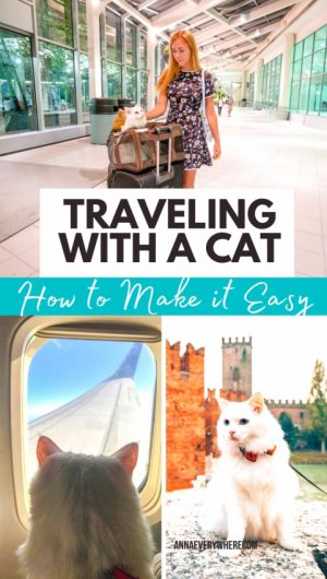 how to travel long flights with cats