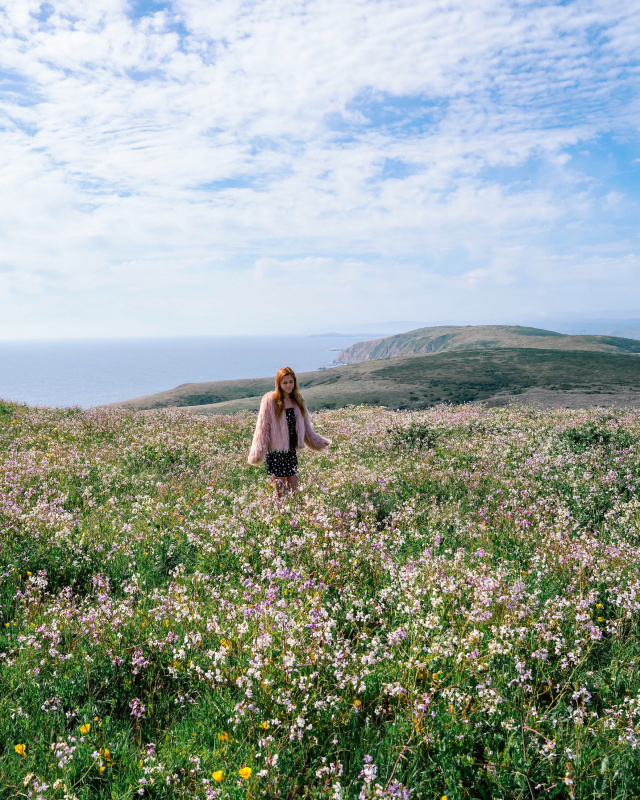 Point Reyes National Park