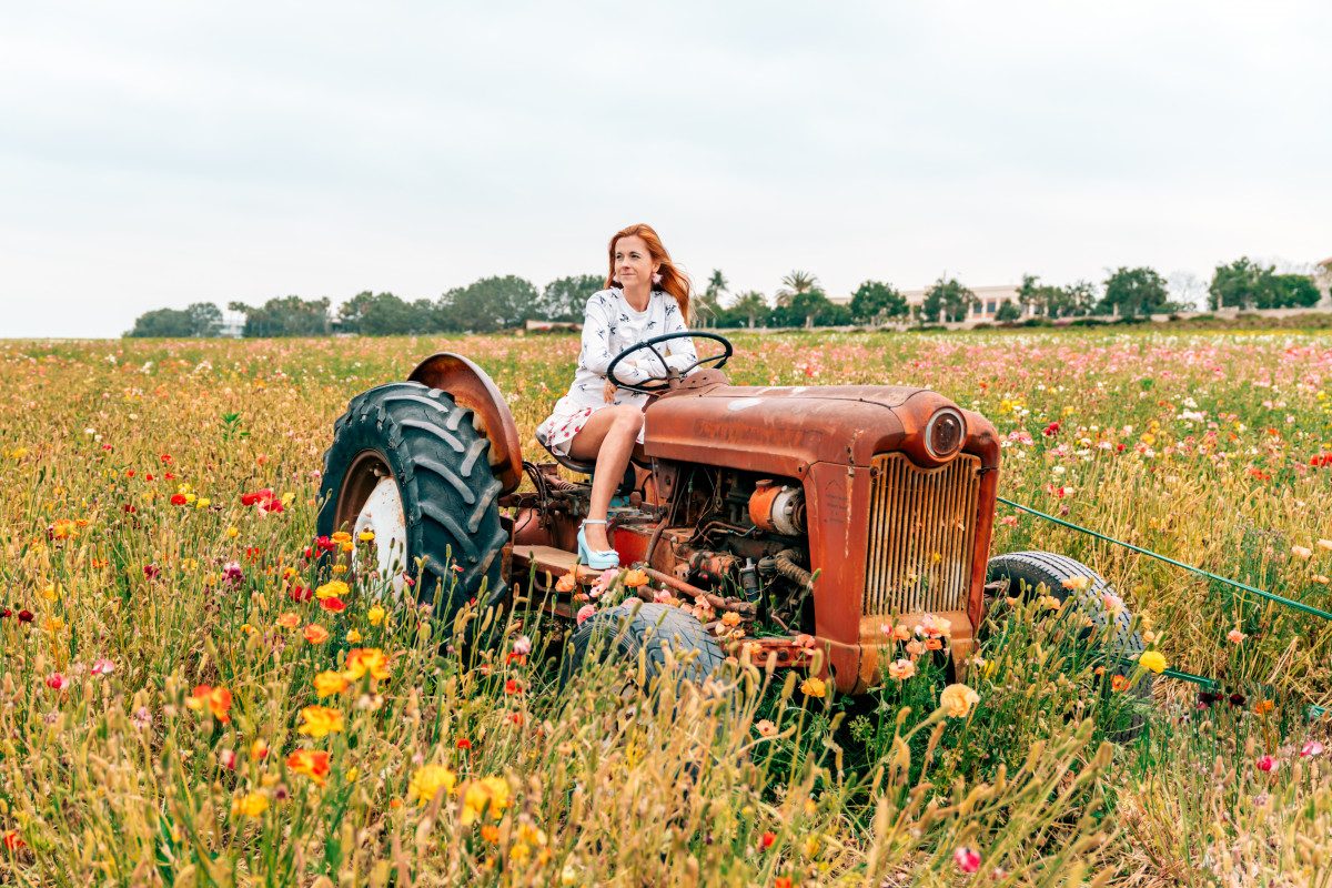 can you visiting California without a car