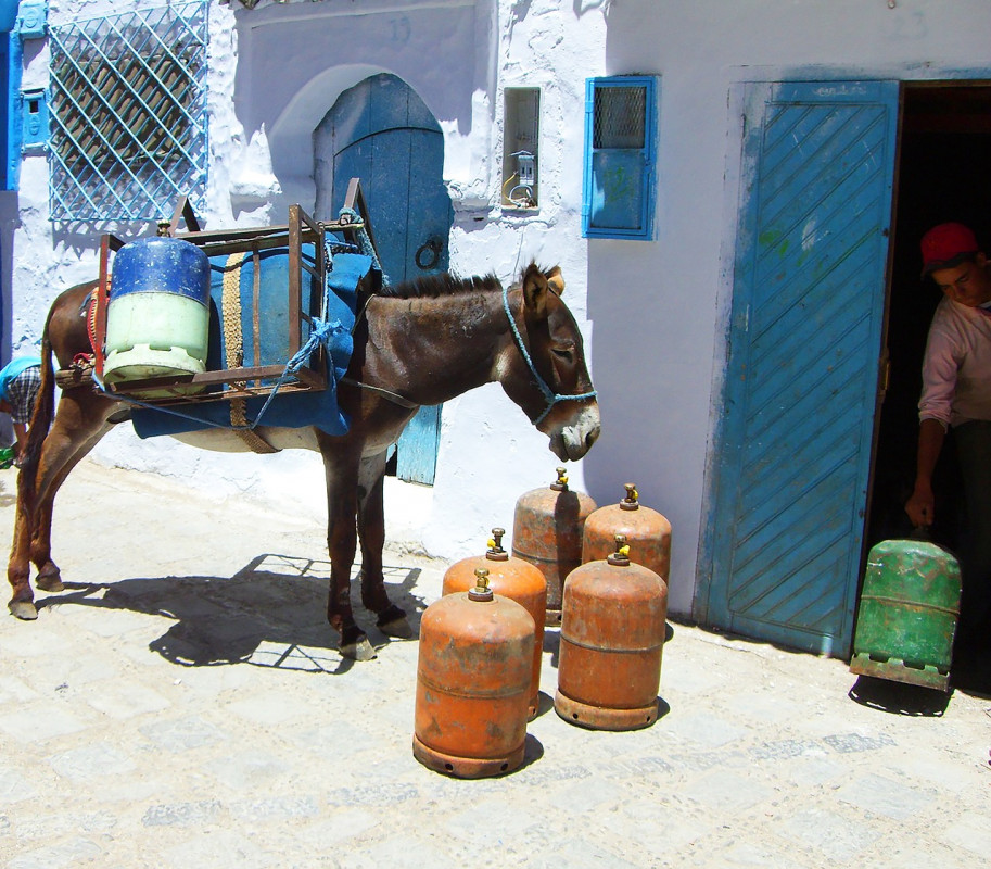 Tips on Renting a Car in Morocco: It’s actually easier than expected