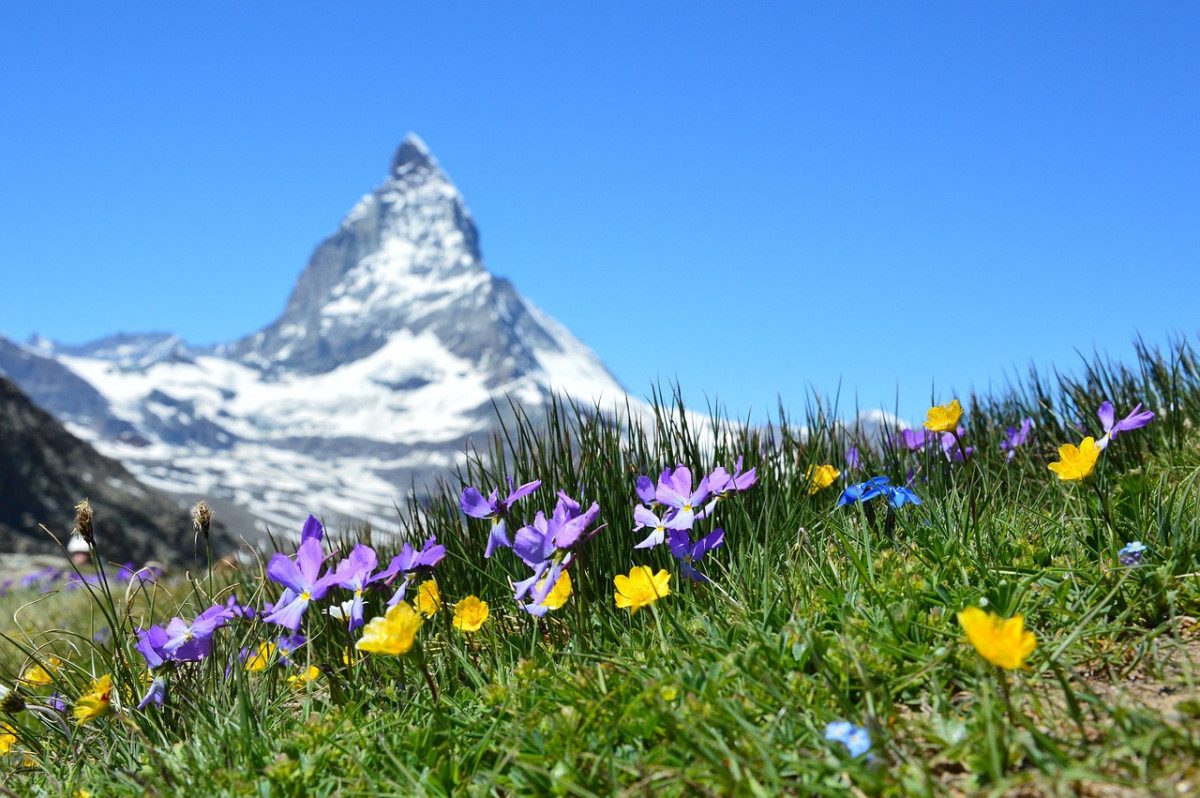 culture of Switzerland