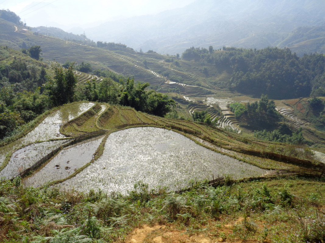 Sapa Vietnam