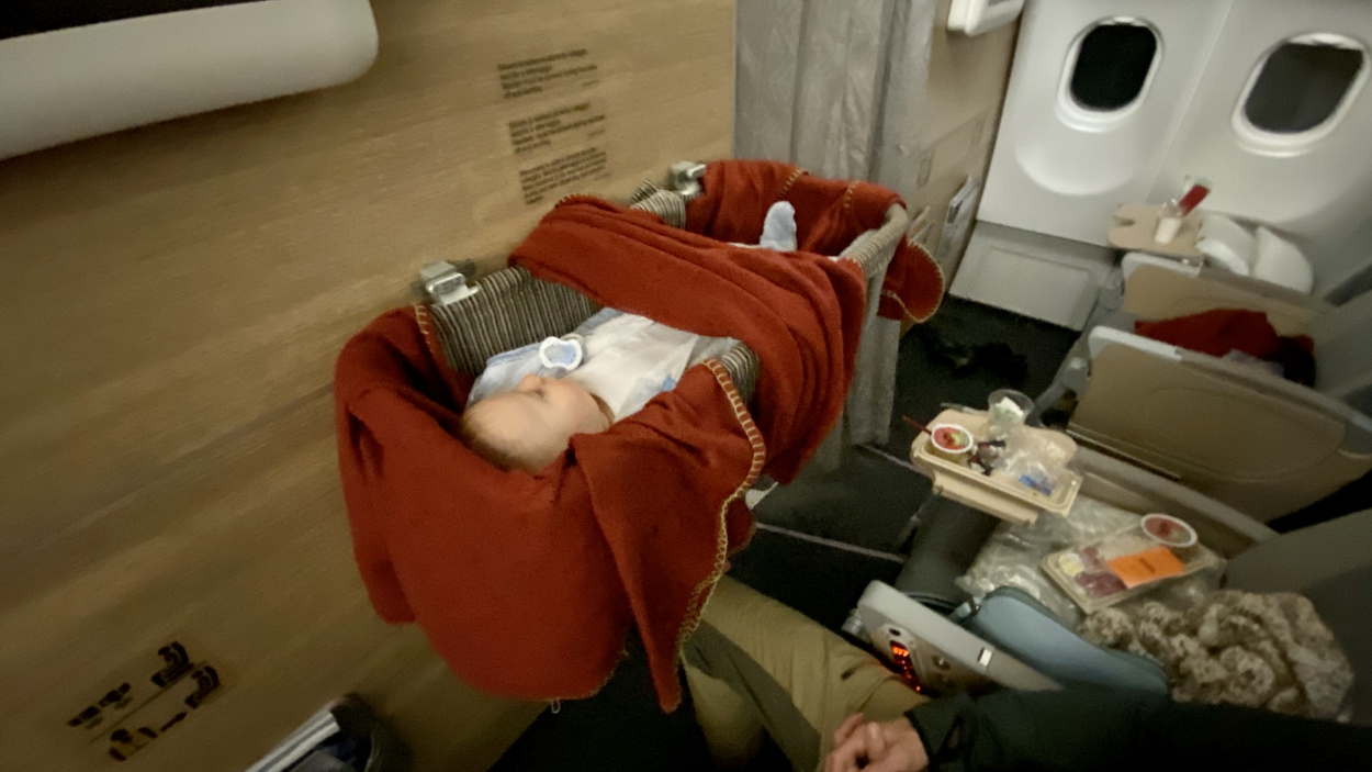 travel bassinet plane