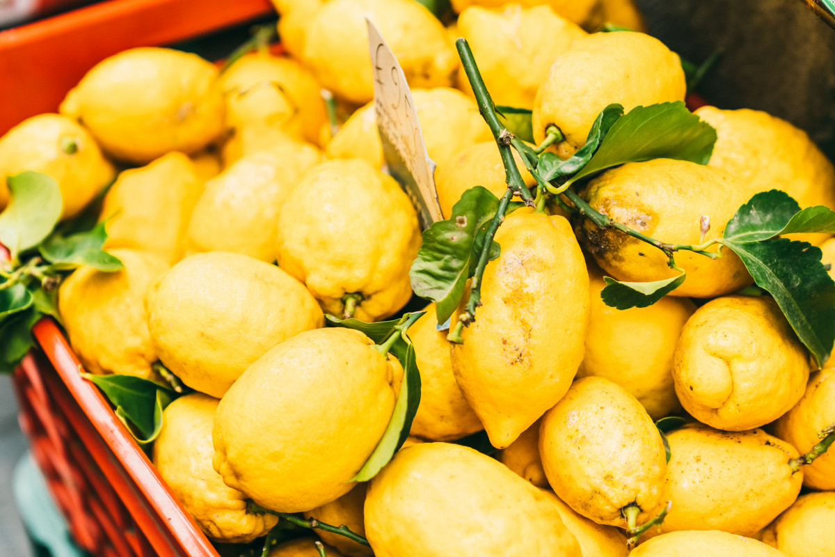 lemons Amalfi