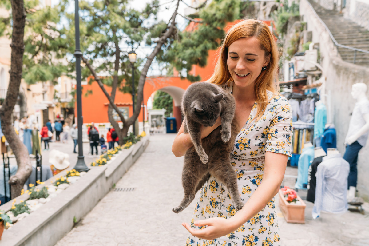 cats in Positano