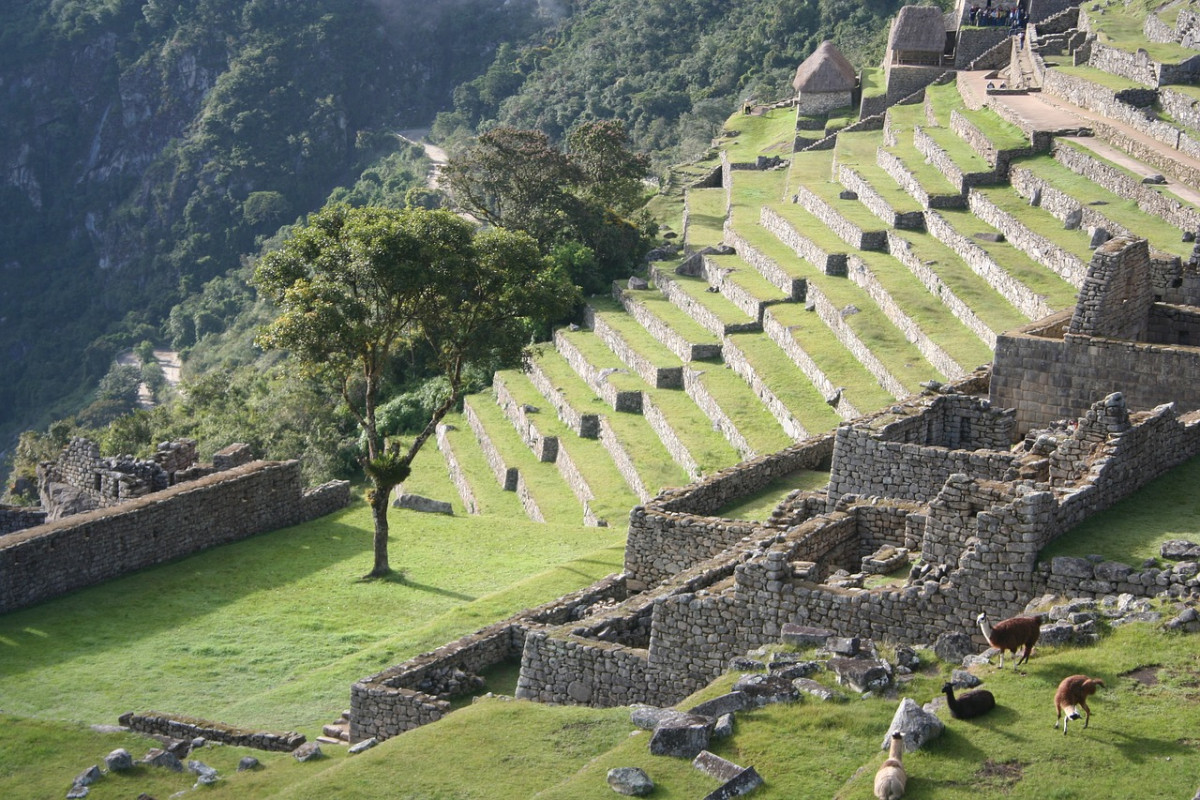 Tips for Visiting Machu Picchu