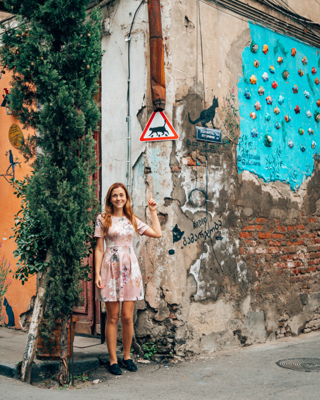 cat crossing tbilisi