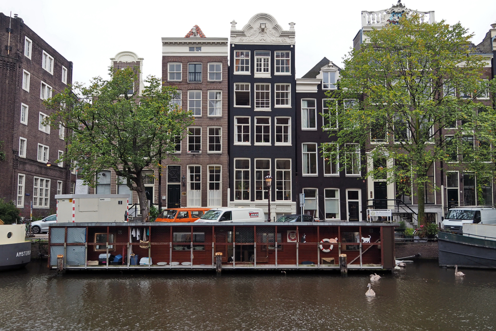 15 Unusual Things to Do in Amsterdam