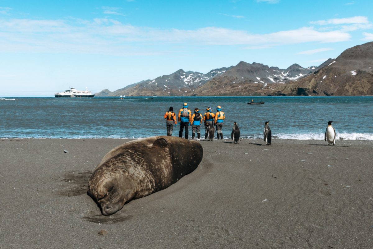 South Georgia Island Photos That Will Make You Want To Visit 5370