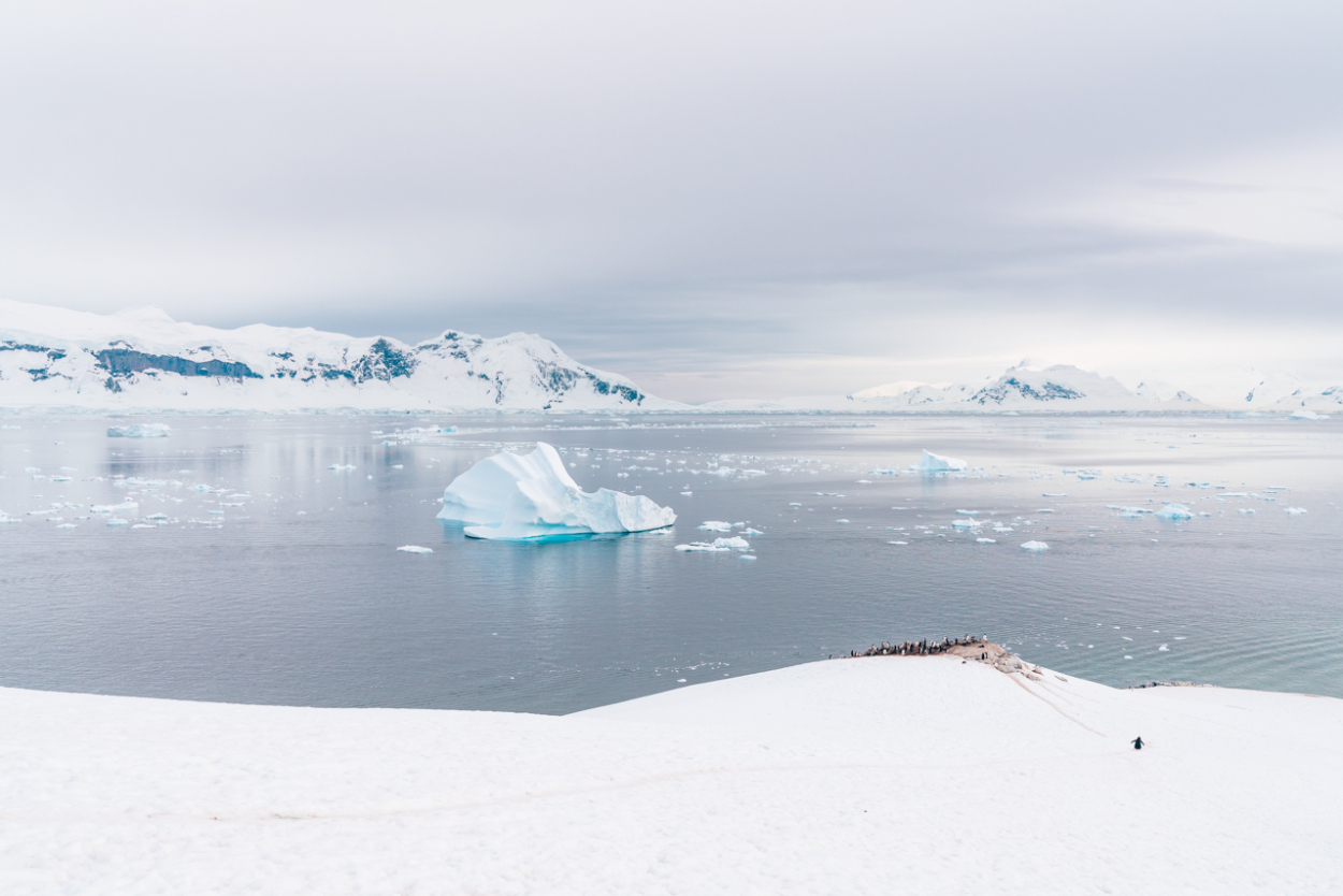 traveling to Antarctica