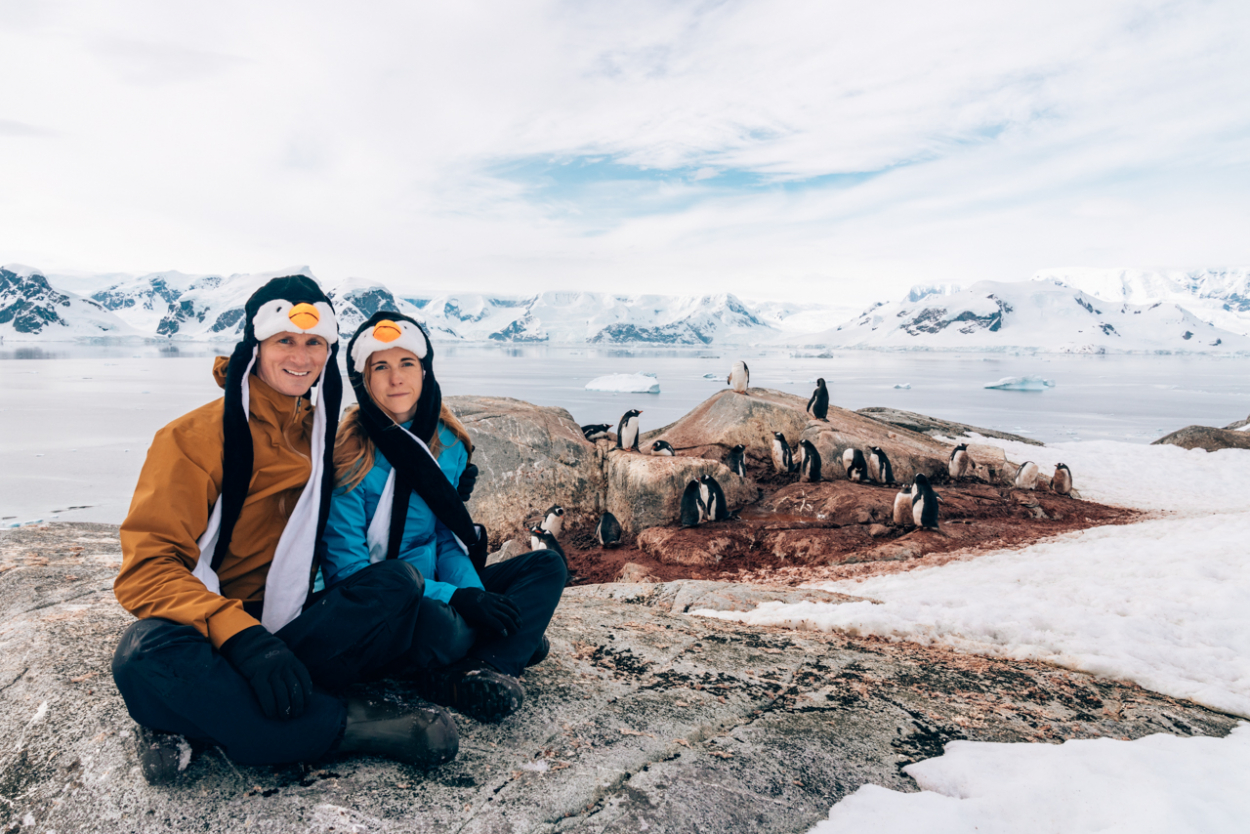 penguins in Antarctica