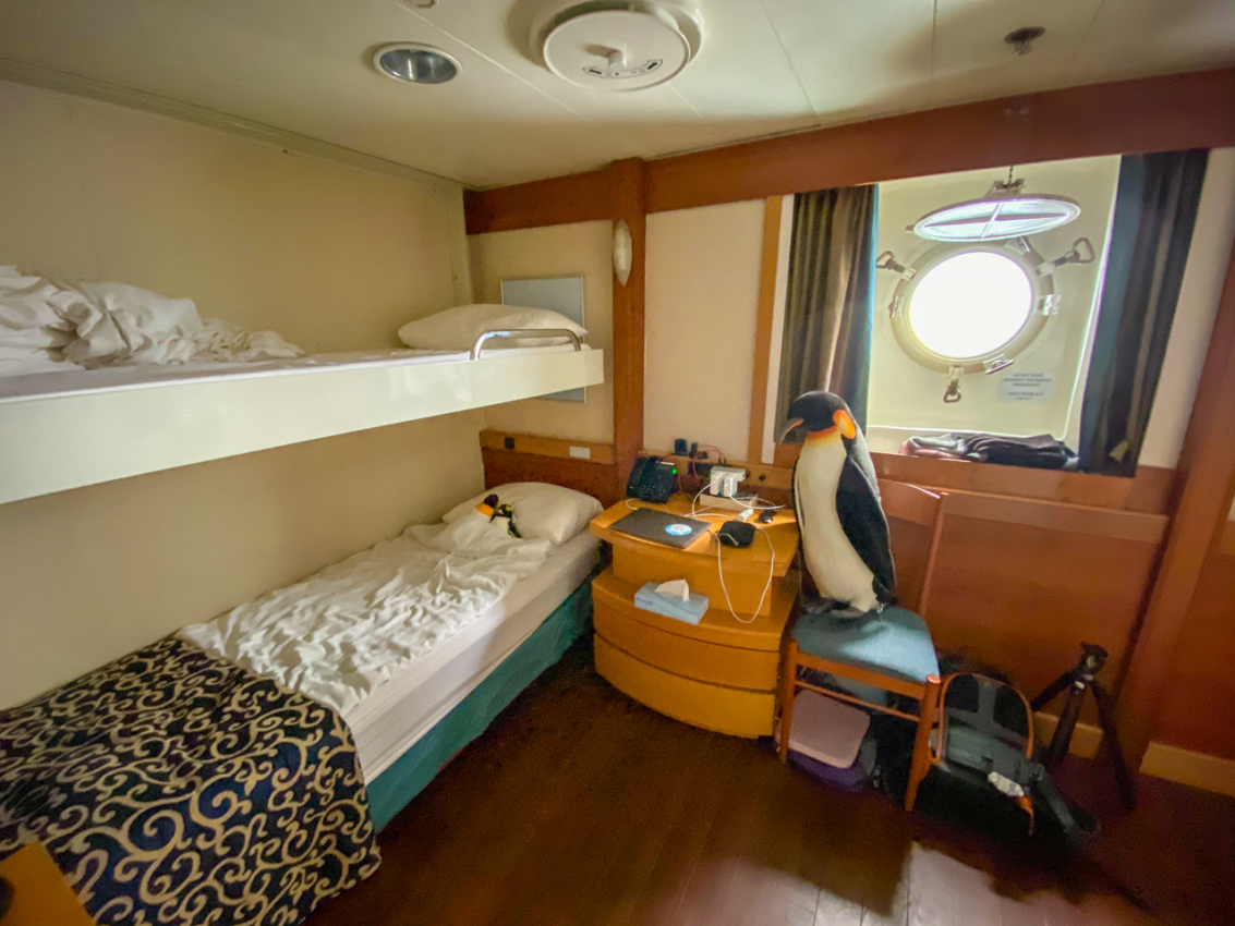 Ocean Endeavour cabin