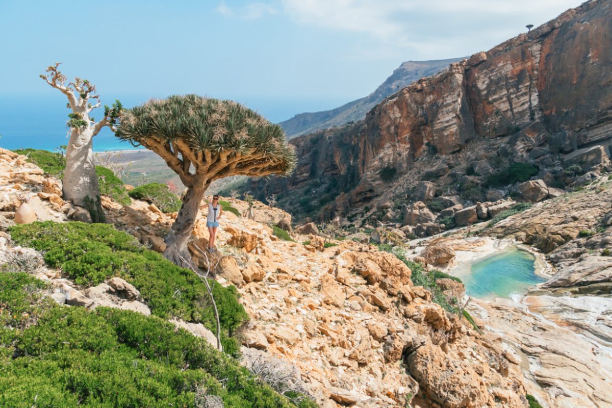 socotra how to visit