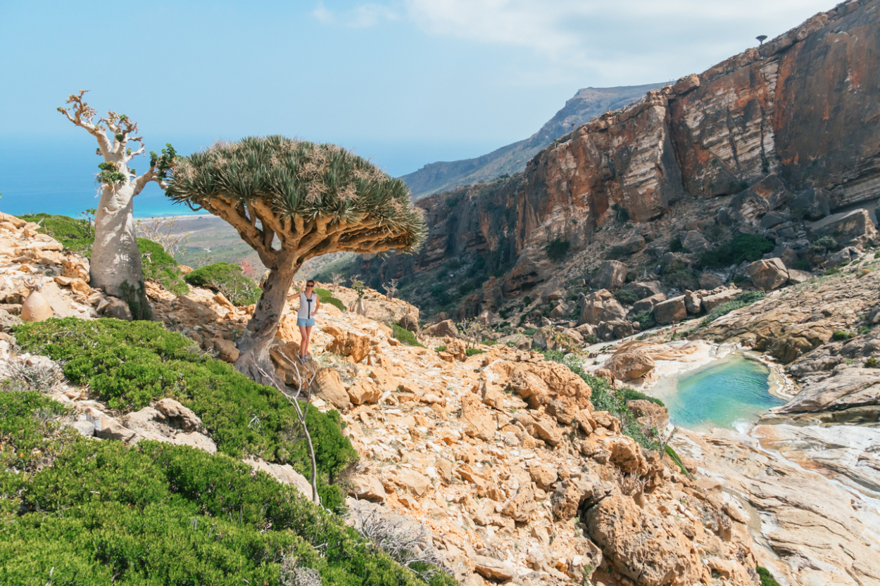 How to Travel to Socotra Island