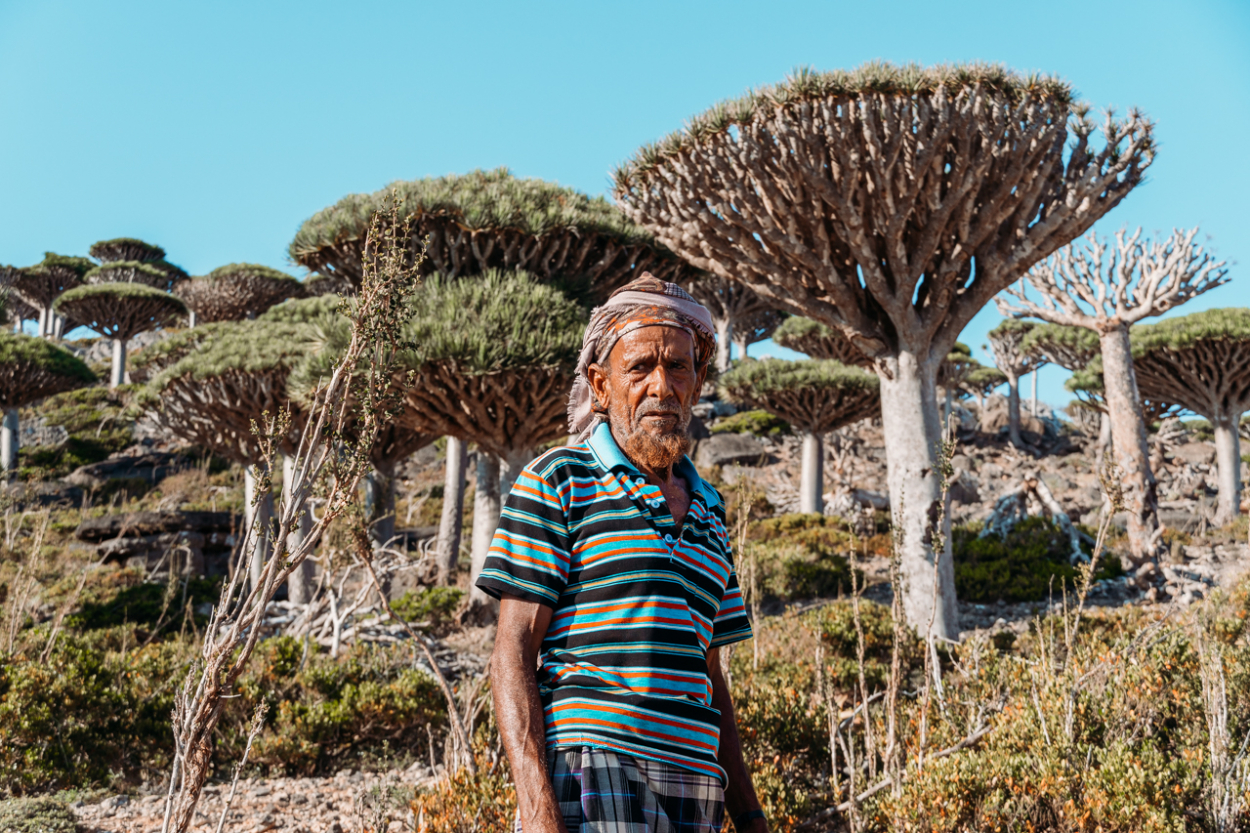 goat herder socotra