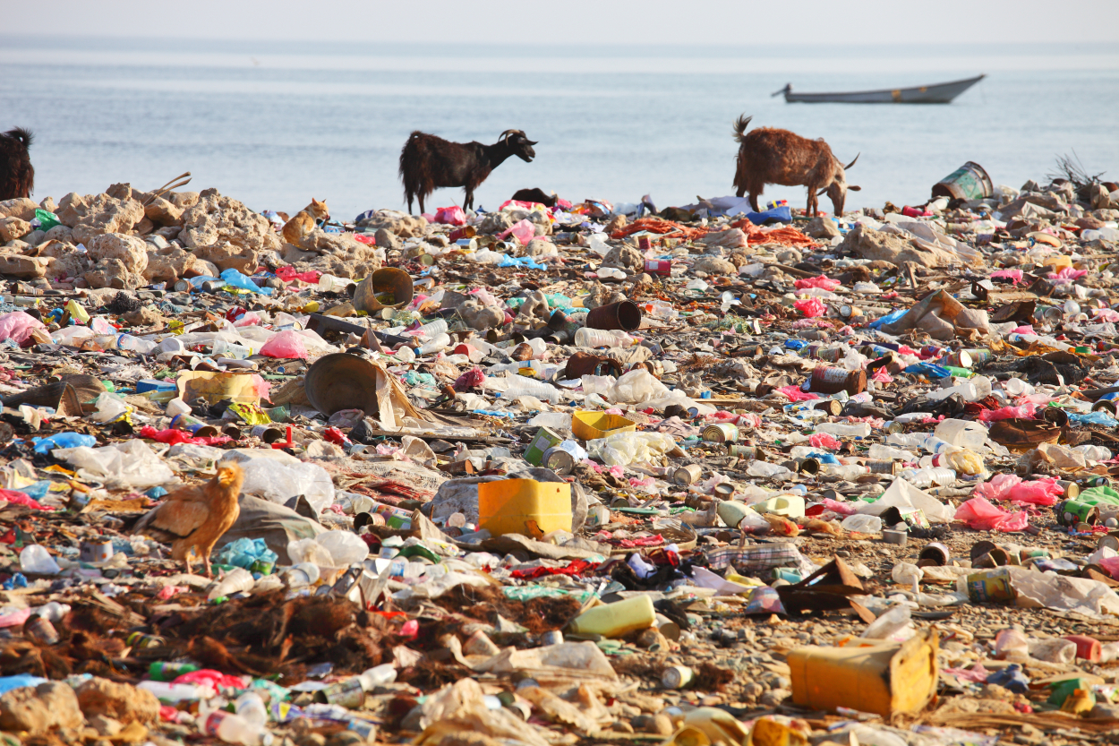 trash socotra