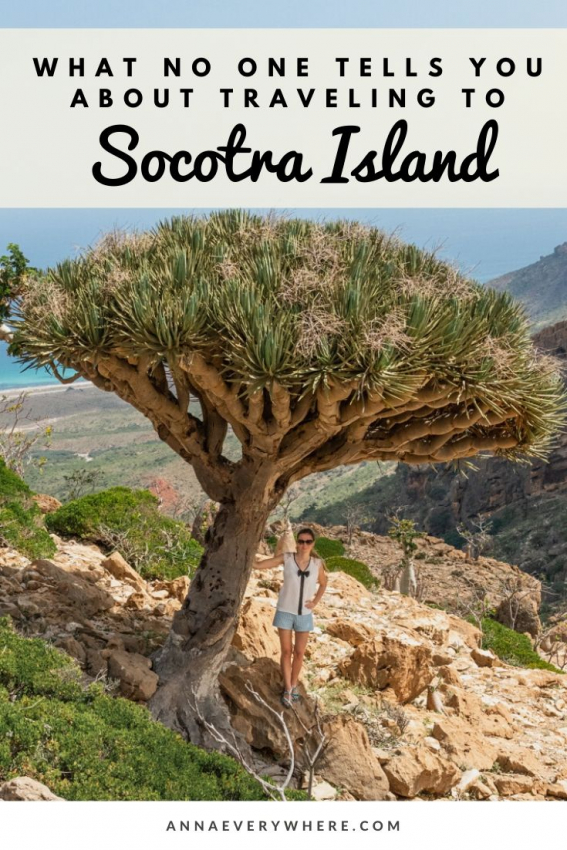 What No One Tells You About Traveling to Socotra Island