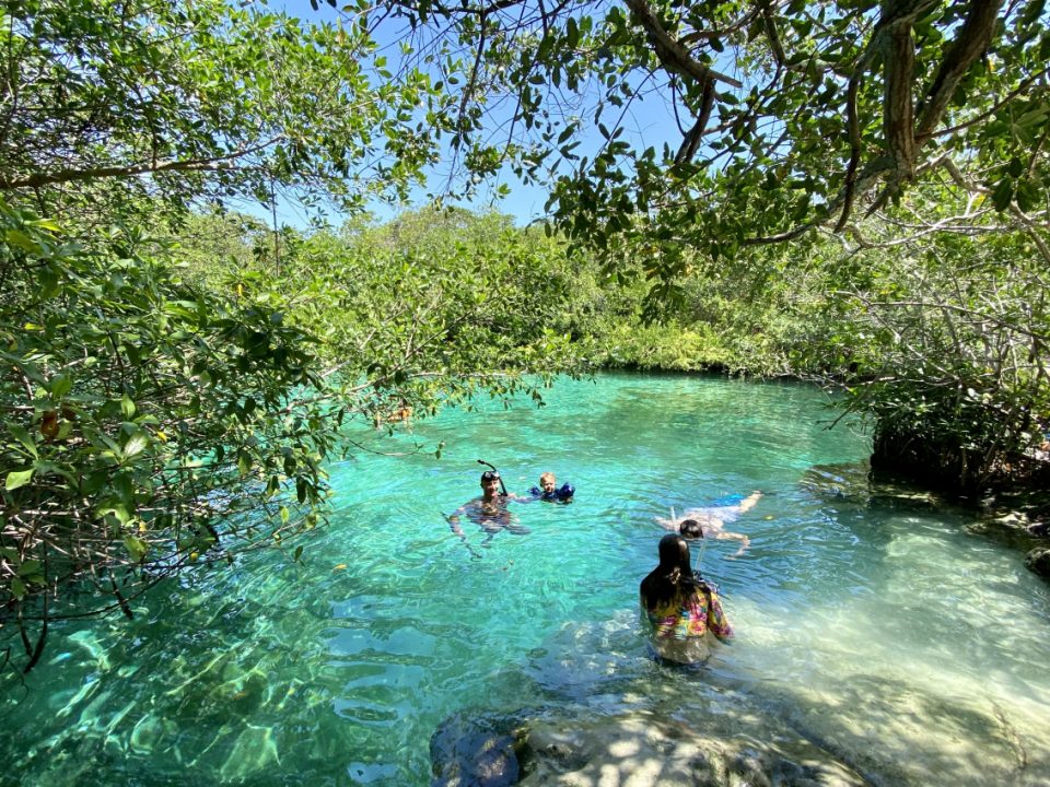 15 Best Cenotes in Tulum & How to Find Them