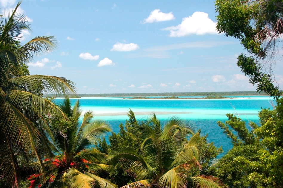 Glimpse through palm leaves at a tranquil lagoon, one of the unique places in Mexico offering serene beauty.
