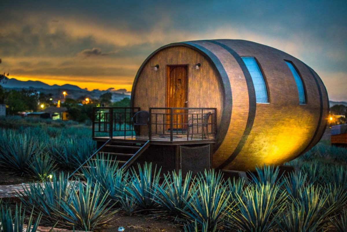 Twilight settles over a barrel-shaped lodging amid an agave field, highlighting the innovative architecture found in Mexico's unique landscapes.
