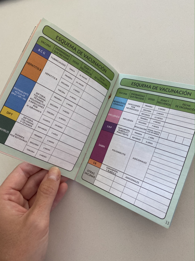 Mexican vaccination schedule in a parent's hand, planning for a newborn's health after giving birth in Mexico.
