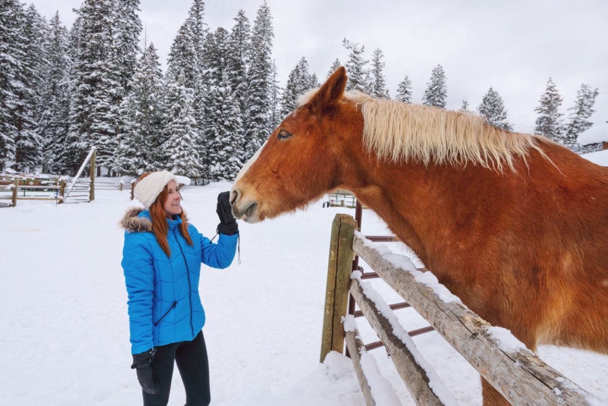 montana places to visit winter