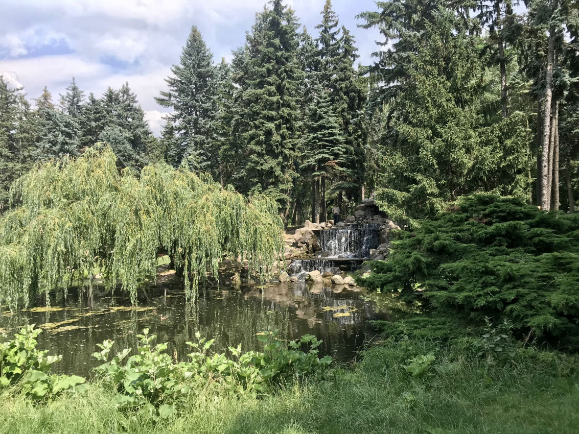 Tranquil pond with a small waterfall in a lush Warsaw park, a serene spot close to nature ideal for a peaceful stay in the city.