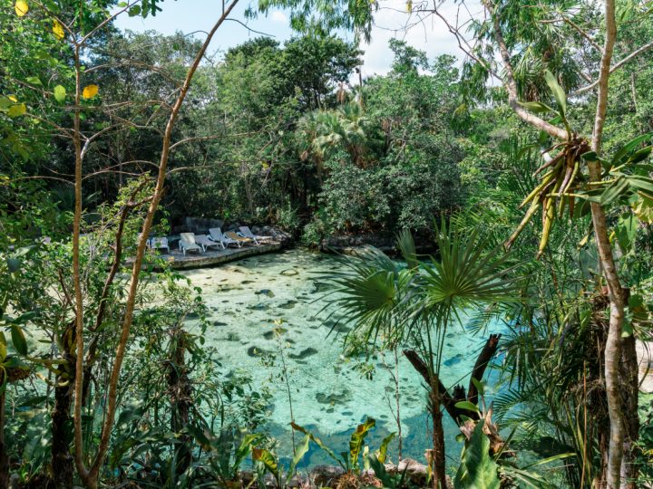 Cenote Yax-Kin: Best Cenote to Visit with Kids