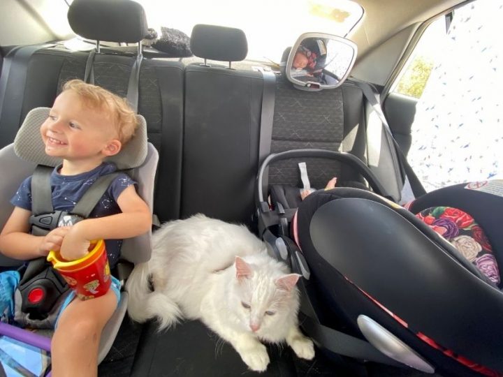 Best Tips for a Road Trip with a Baby or Toddler