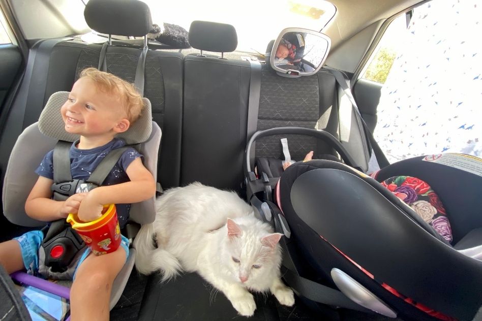 Top Must Haves For A Road Trip With Kids - Our Thrifty Ideas