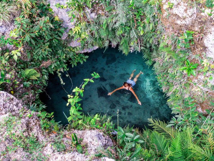 Ruta de los Cenotes: Best Cenotes in Puerto Morelos