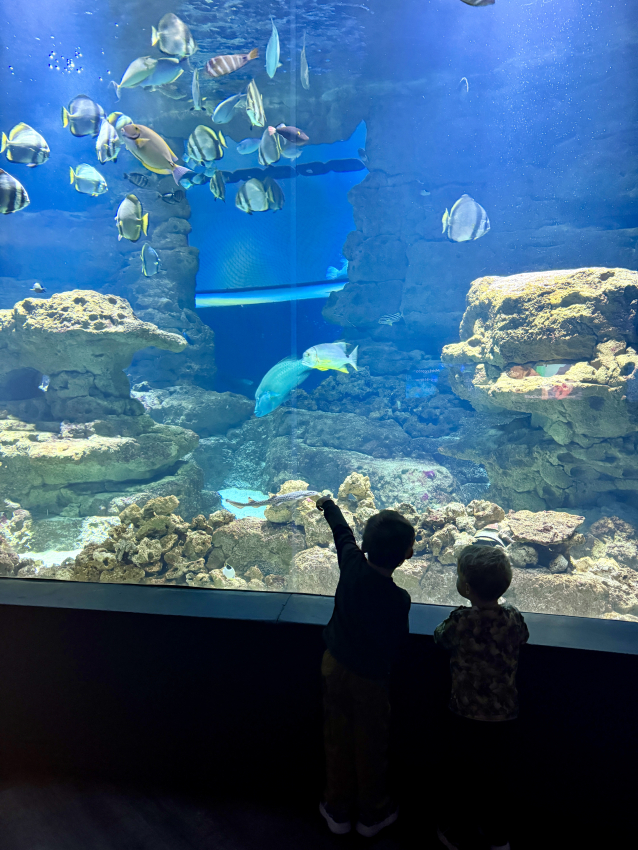 What to do in Paris when it rains: Paris aquarium with kids