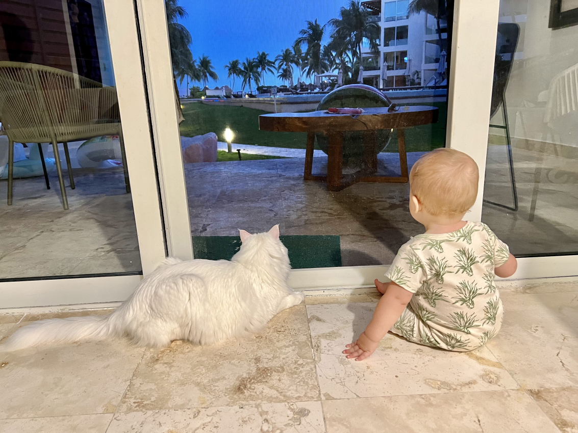 Curious baby in a tropical print onesie and a fluffy white cat gazing out at a lush Mexican garden from a beachfront home.