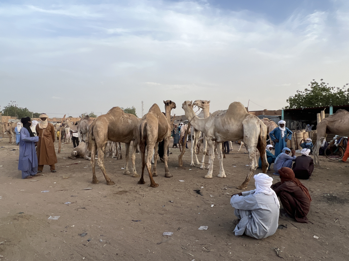 niger tourism information