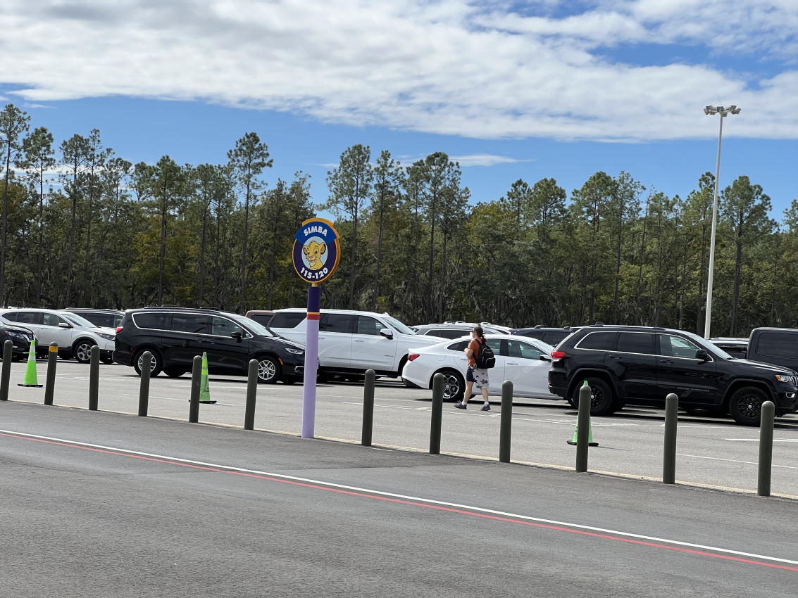 Simba parking zone at Disney