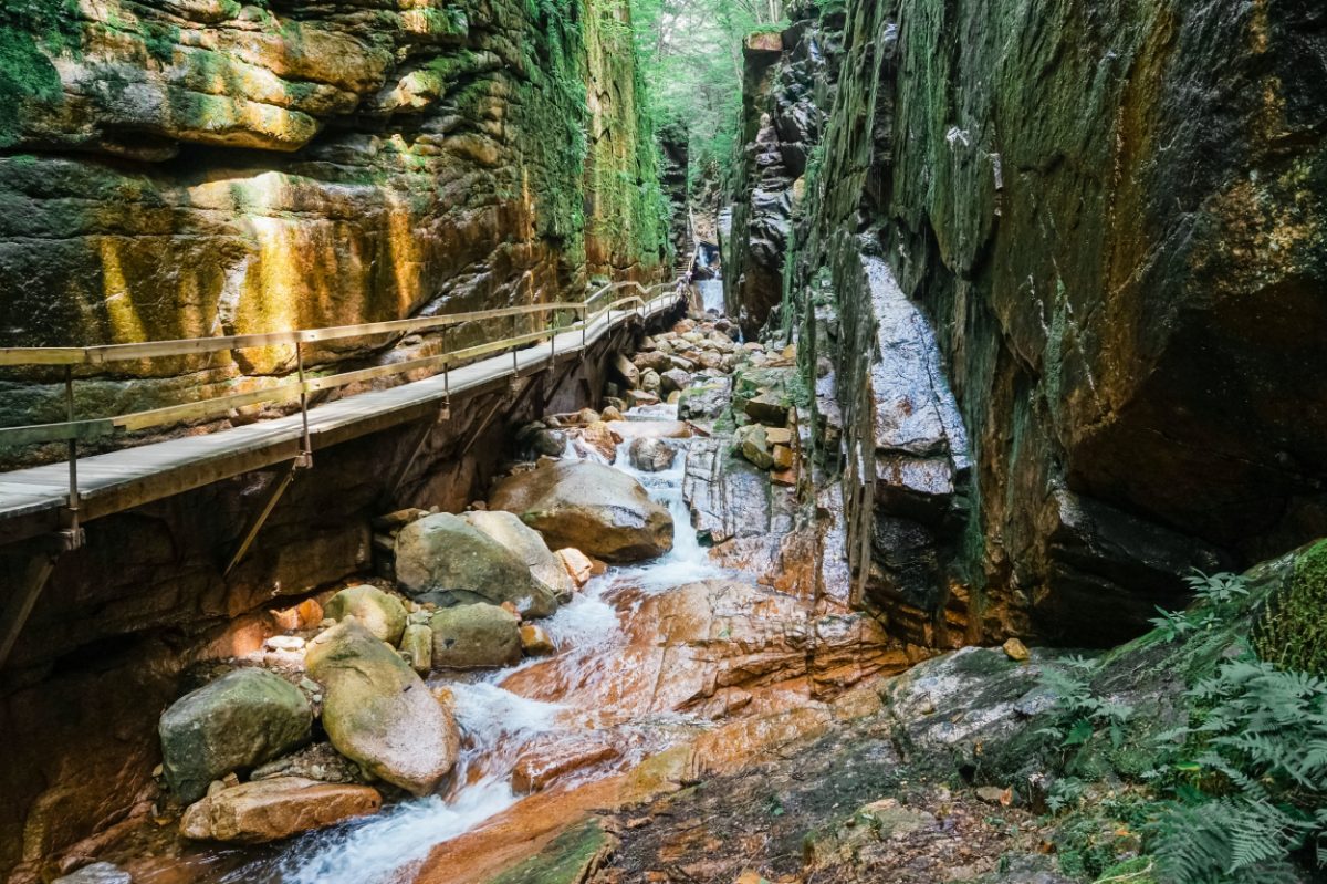Wooden walkway passing through a stunning rocky gorge with a stream, a picturesque spot for family travel in the US.