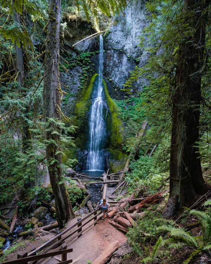 Olympic National Park with toddler