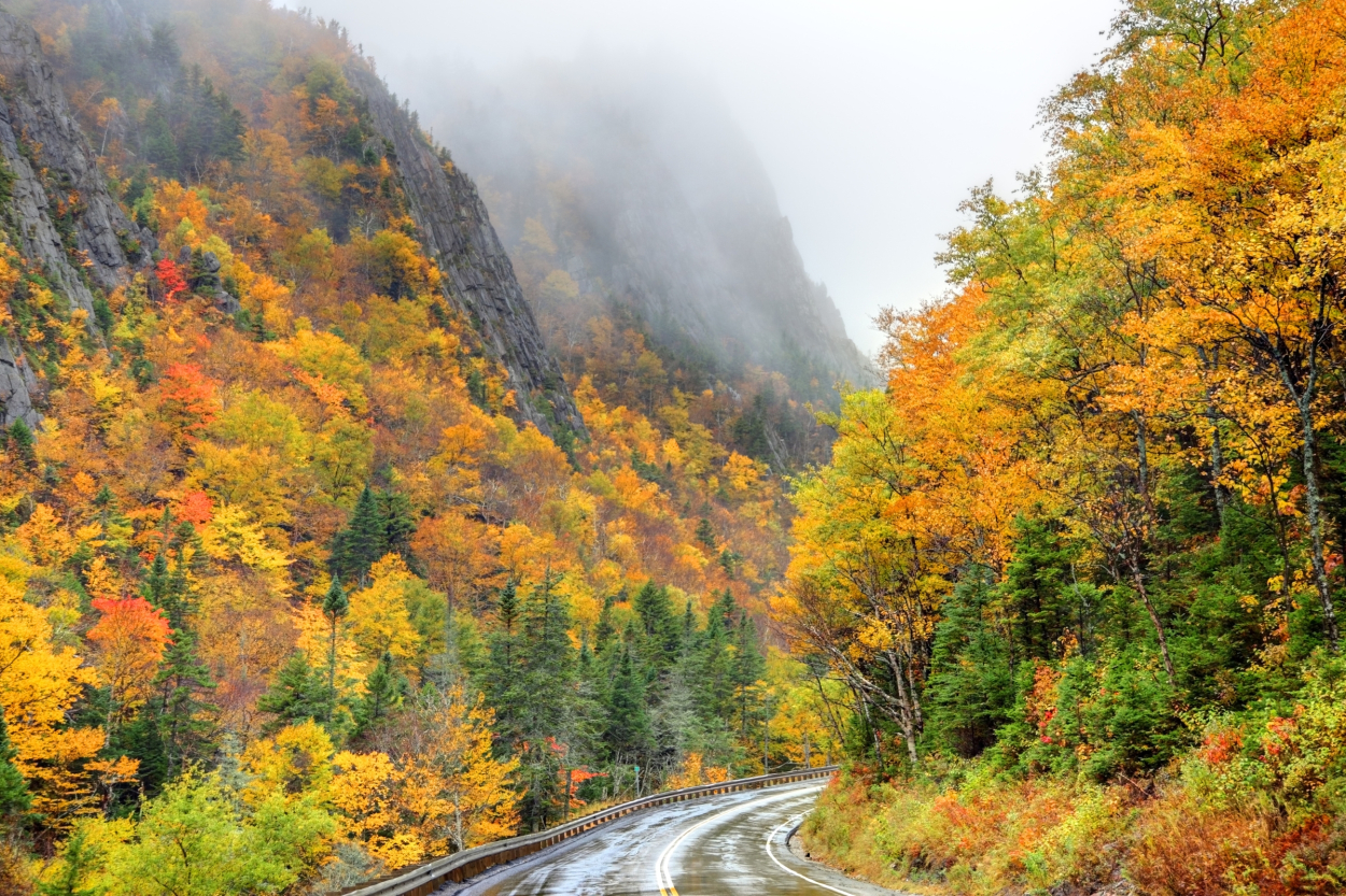 Best Foliage Spots in NH