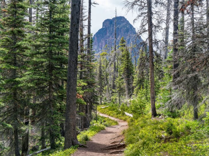 16 Greatest Hikes in Glacier National Park