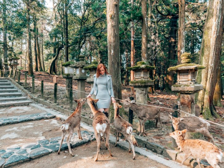 10 Things to Do in Nara, Japan