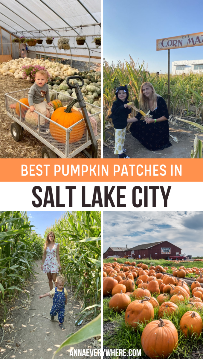 Best Pumpkin Patches in Salt Lake City Utah