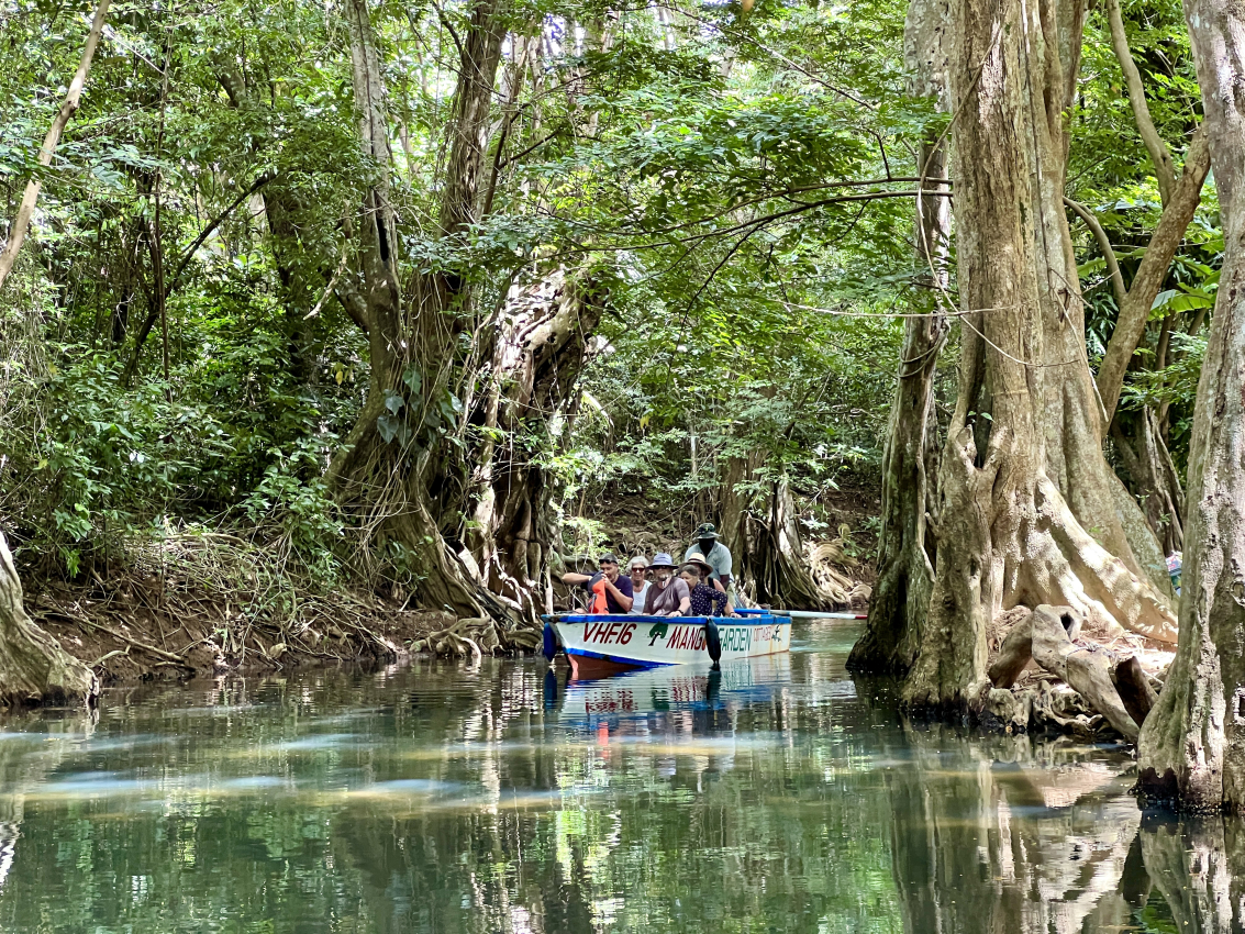 15 Best Things to Do in Dominica (With or Without Kids)