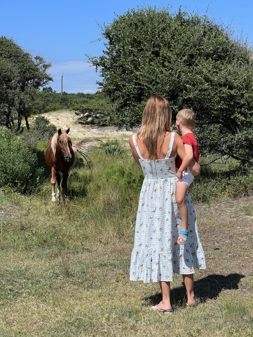 Mother holding a baby while watching a horse in the distance, showcasing a serene setting for US travel with little ones.