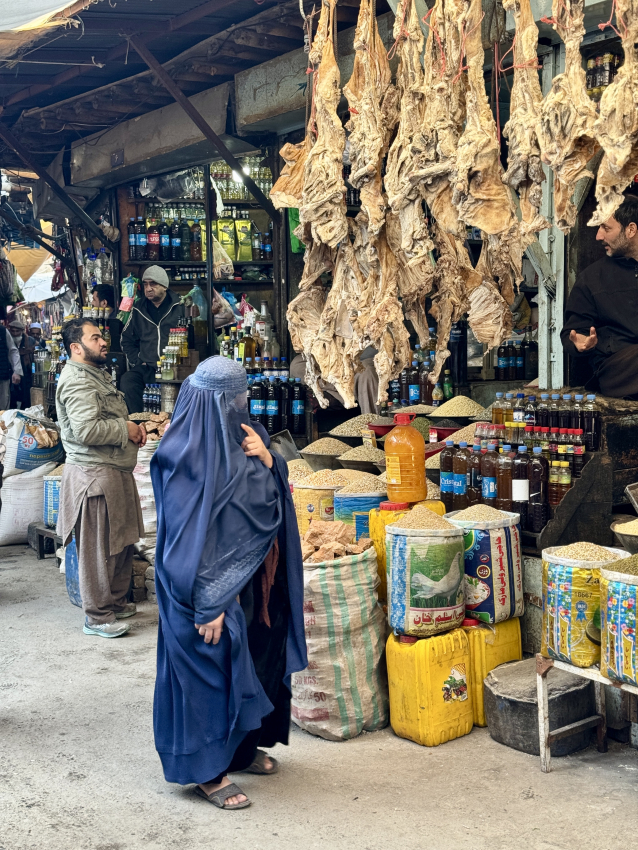 Afghan woman at the market 