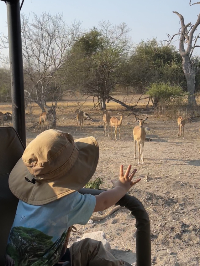 Botswana safari with toddler