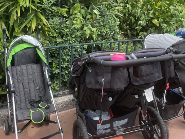 7 Best Strollers for Disney – Single, Double & Budget Options 