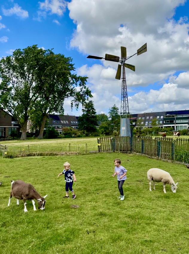 Kinderboerderij Merenwijk